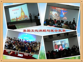 融汇世界文化，尽展青春风采——外国语学院外国语言文化艺术节系列活动圆满落幕